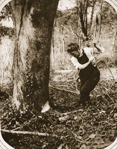 A strenuous woman-worker at Weston-Super-Mare; felling trees in a Somerset wood by English Photographer